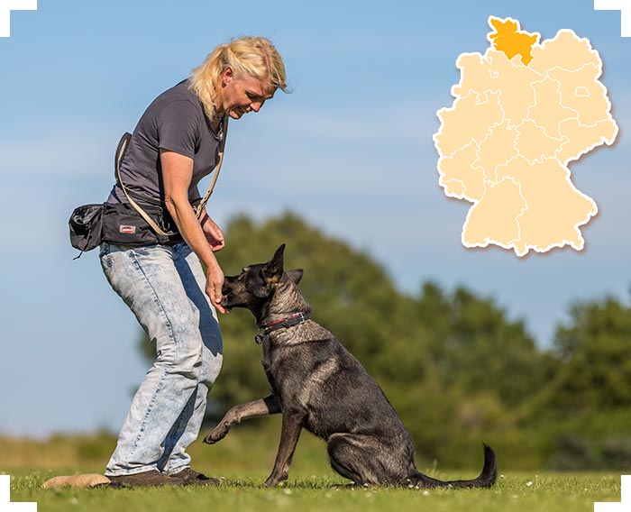 Skimmelhund Merlin