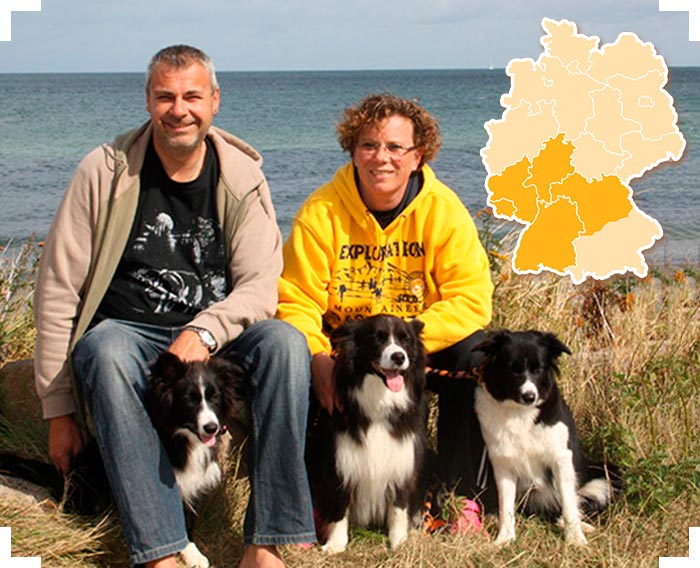 Schimmelspürhund Naila